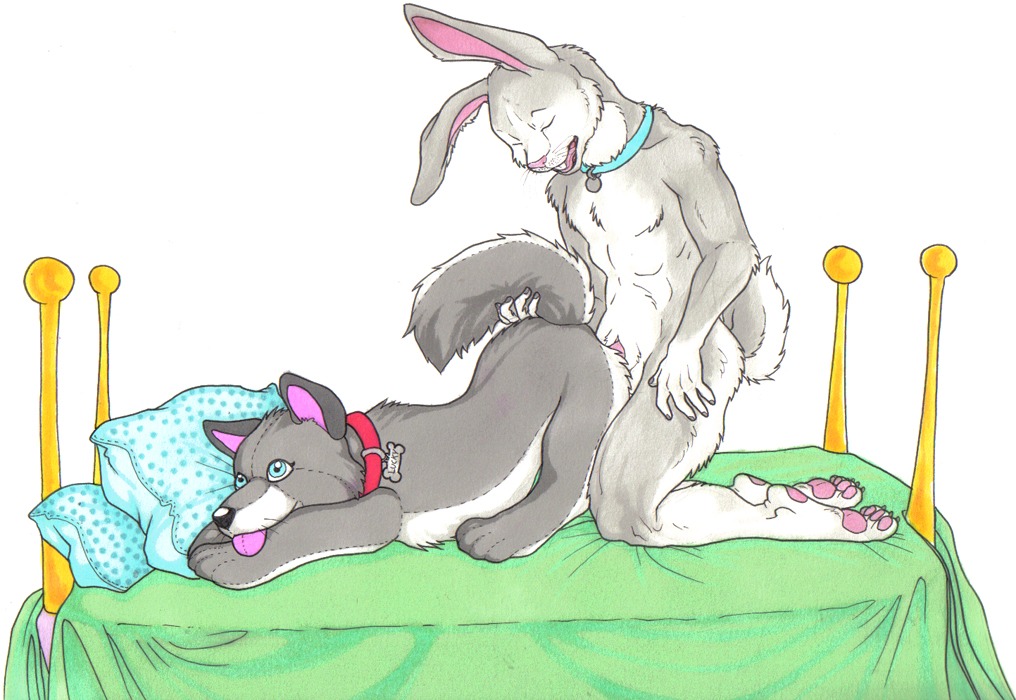 anthro bed big_ears biped canid canine canis collar collar_only domestic_dog duo e621 furniture genitals hopps_(luckywolf) husky indoor_nudity inside kamilya kneeling lagomorph leporid luckywolf_(character) male mammal masturbation nordic_sled_dog nude nude_anthro nude_male on_bed penis plushie plushophilia rabbit side_view simple_background solo spitz tail white_background