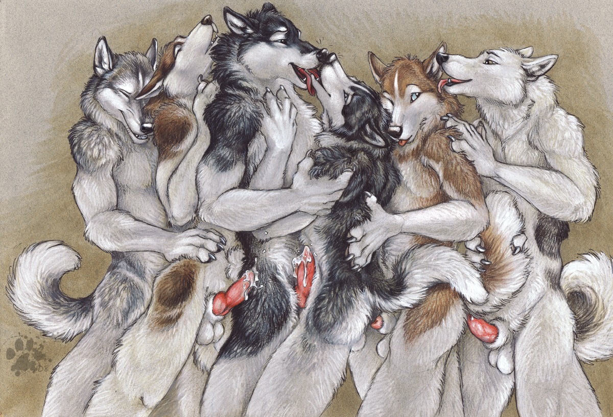 2008 3:2 anal anal_penetration animal_genitalia animal_penis anthro balls blotch bodily_fluids canid canine canine_genitalia canine_penis canis cum domestic_dog e621 erection flaccid genital_fluids genitals group group_sex half-erect happy happy_sex husky intraspecies knot licking male male/male male_penetrated male_penetrating male_penetrating_male mammal nordic_sled_dog orgy penetration penis penis_tip queue scratches_volume_2 sex sheath spitz tail tongue tongue_out traditional_media_(artwork) train_position wolf