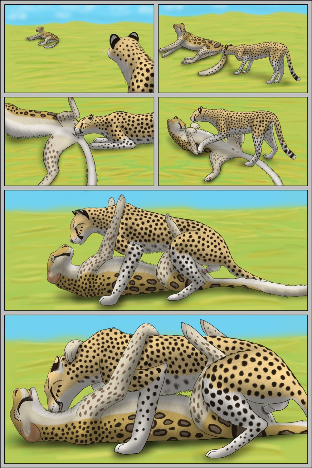 2:3 anus balls black_border bodily_fluids border cheepard cheetah comic cum cum_in_vagina cum_inside cunnilingus duo e621 erection felid feline female female_penetrated feral feral_on_feral genital_fluids genitals hi_res hybrid leopard lying male male/female male_penetrating male_penetrating_female mammal on_back oral pantherine penetration penis raised_tail sex spread_legs spreading tail tail_anus vaginal vaginal_penetration vulva