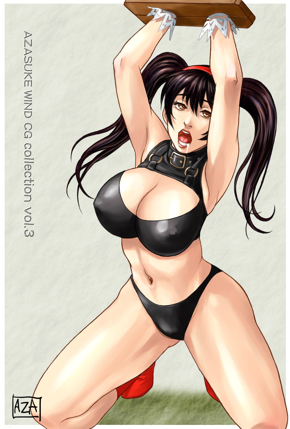 azasuke bound female fighting_vipers highres honey_(fighting_vipers) rule34 sega