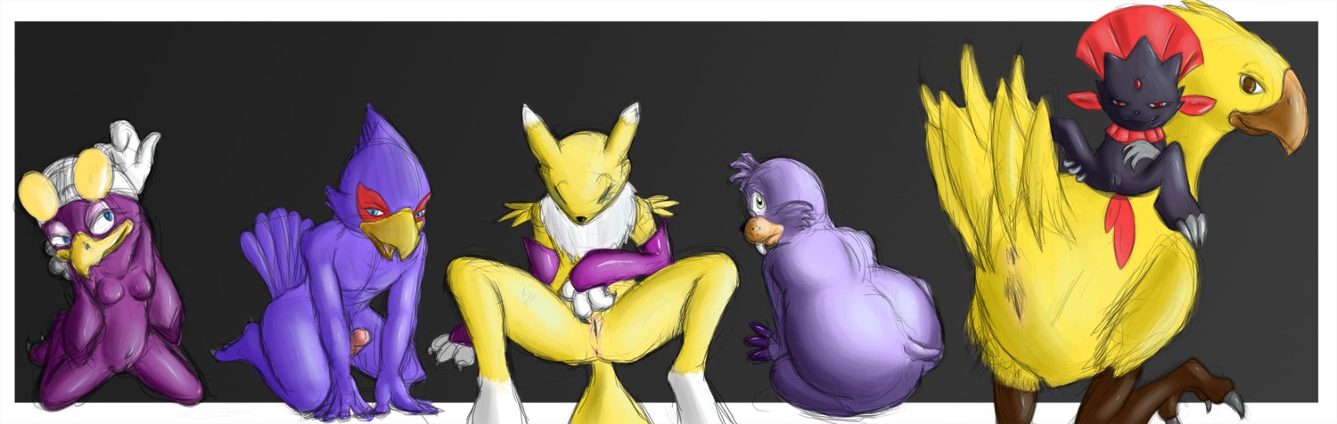 anthro avian bird canine chocobo crossover digimon digimon_(species) falco_lombardi female femboy feral final_fantasy fox furry girly male pokemon renamon rotor_the_walrus rule34 sonic_(series) sonic_riders star_fox walrus wave_the_swallow weavile