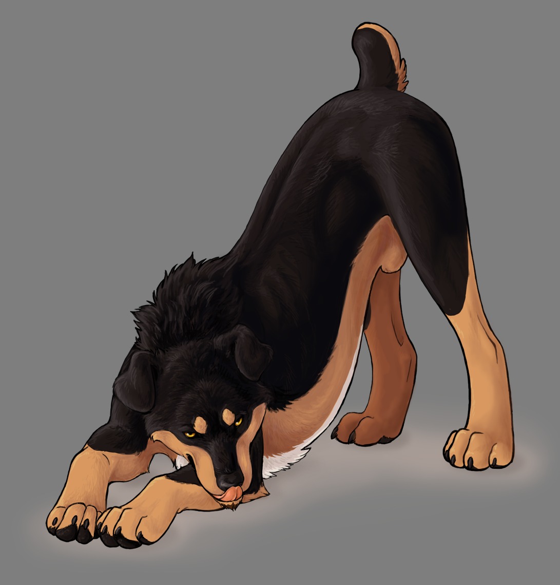 4_toes all_fours alpha_channel amber_eyes animal_genitalia ass_up autumn_sunrise black_body black_fur black_nose black_pawpads brown_body brown_fur brown_sheath canid canine canis claws digitigrade domestic_dog e621 feet feral fully_sheathed fur genitals licking licking_lips licking_own_lips looking_at_viewer male mammal mastiff molosser pawpads paws quadruped rottweiler self_lick sheath simple_background solo toes tongue tongue_out transparent_background