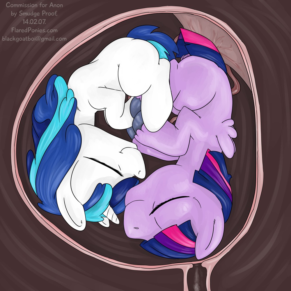 1:1 age_regression blue_hair crossgender digital_media_(artwork) duo e621 equid equine eyes_closed fan_character feathered_wings feathers female feral friendship_is_magic fur genitals hair hasbro horn inside_uterus internal male mammal multicolored_hair my_little_pony mythological_creature mythological_equine mythology pegasus purple_body purple_fur purple_hair shining_armor_(mlp) smile smudge_proof twilight_sparkle_(mlp) two_tone_hair umbilical_cord unbirthing unicorn uterus vaginal vaginal_canal vore vulva white_body white_fur wings