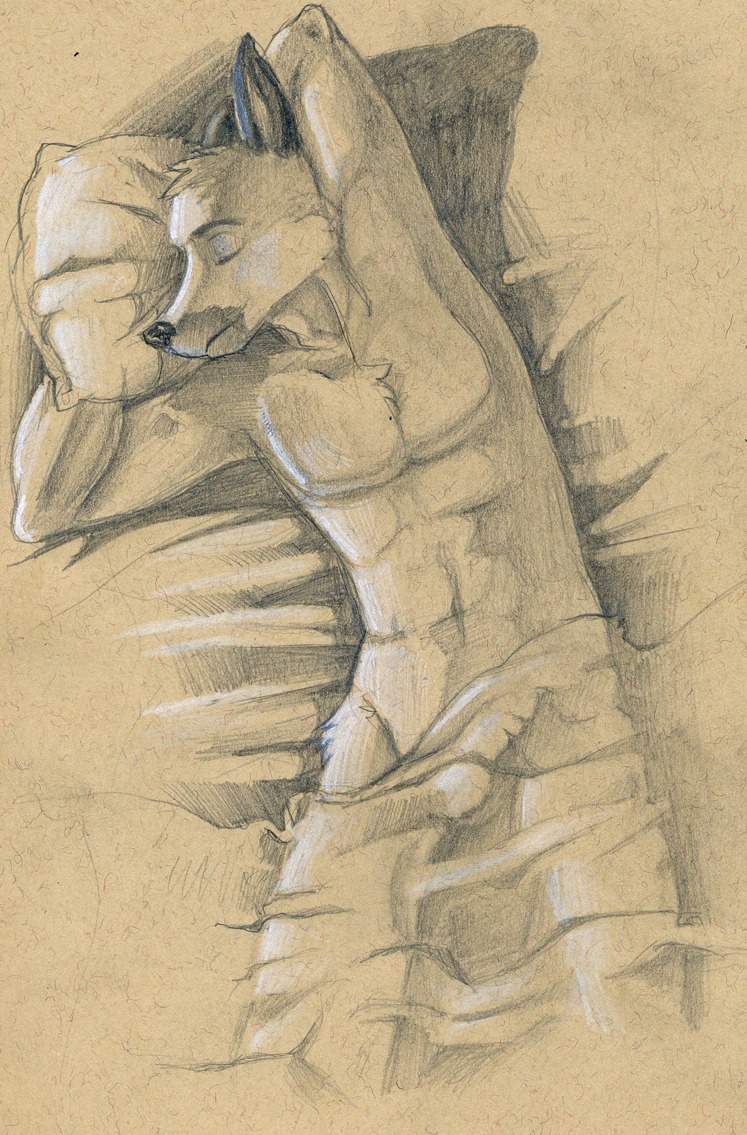 anthro bed_sheet bedding bulge canid canine canis detailed_bulge domestic_dog e621 eyes_closed genital_outline hands_behind_head male mammal nude penis_outline sleeping solo tush_(artist)