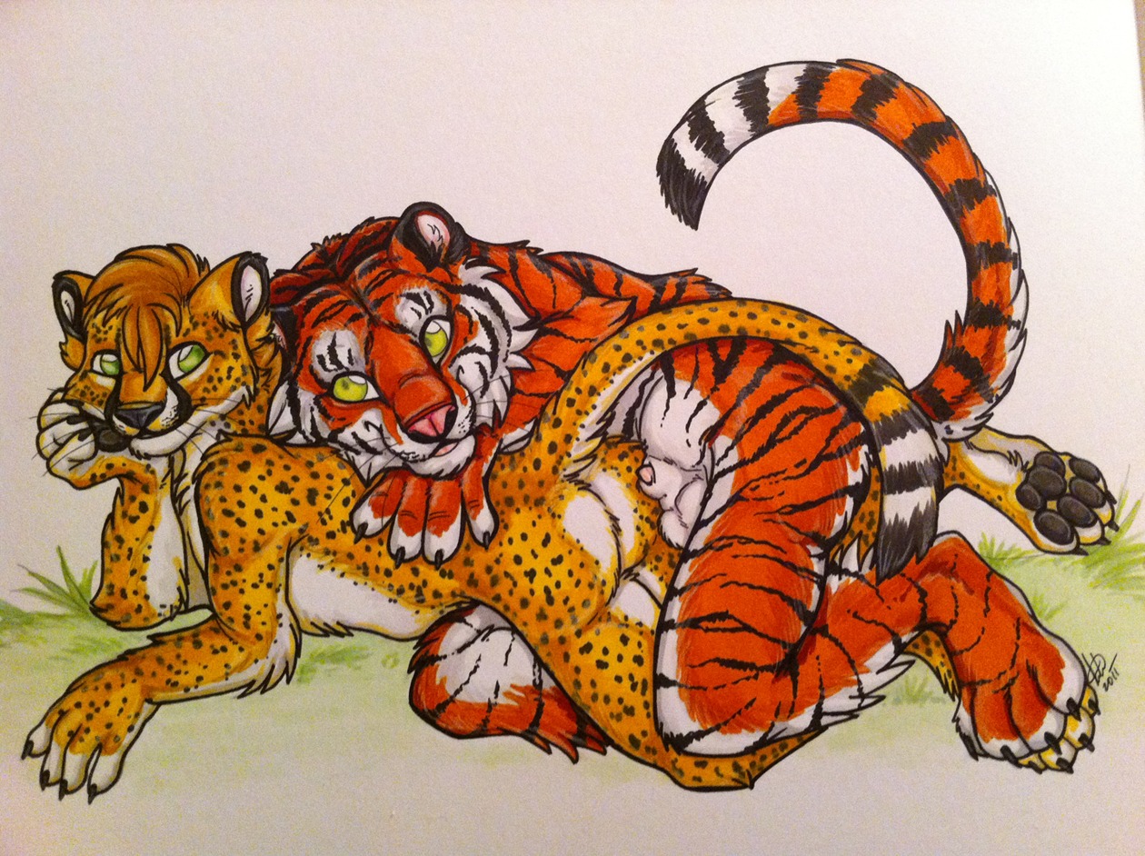 2011 animal_genitalia anthro anthro_on_anthro balls black_nose butt cheetah claws duo e621 felid feline fur genitals green_eyes kwik_(artist) lying male male/male mammal nude on_front pantherine penis penis_tip pink_nose sheath simple_background spots stripes tail tiger whiskers white_background