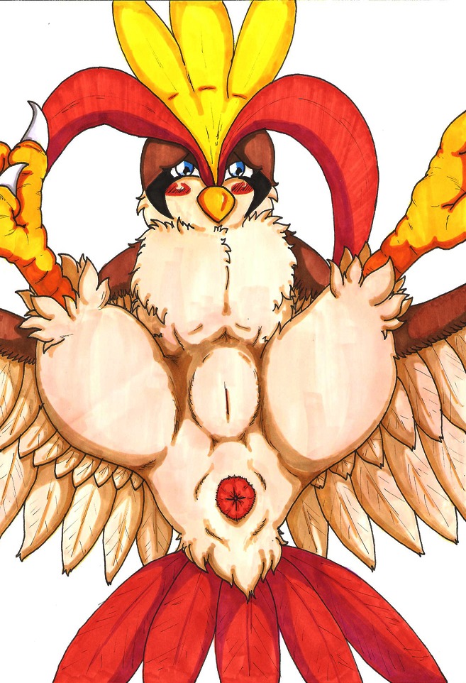 anus avian bird blush color female female_only feral front_view nintendo nude pidgeot pok&eacute;mon_(species) pokemon pokemon_(species) pussy rule34 solo tagme thecapedmanlloyd vulva