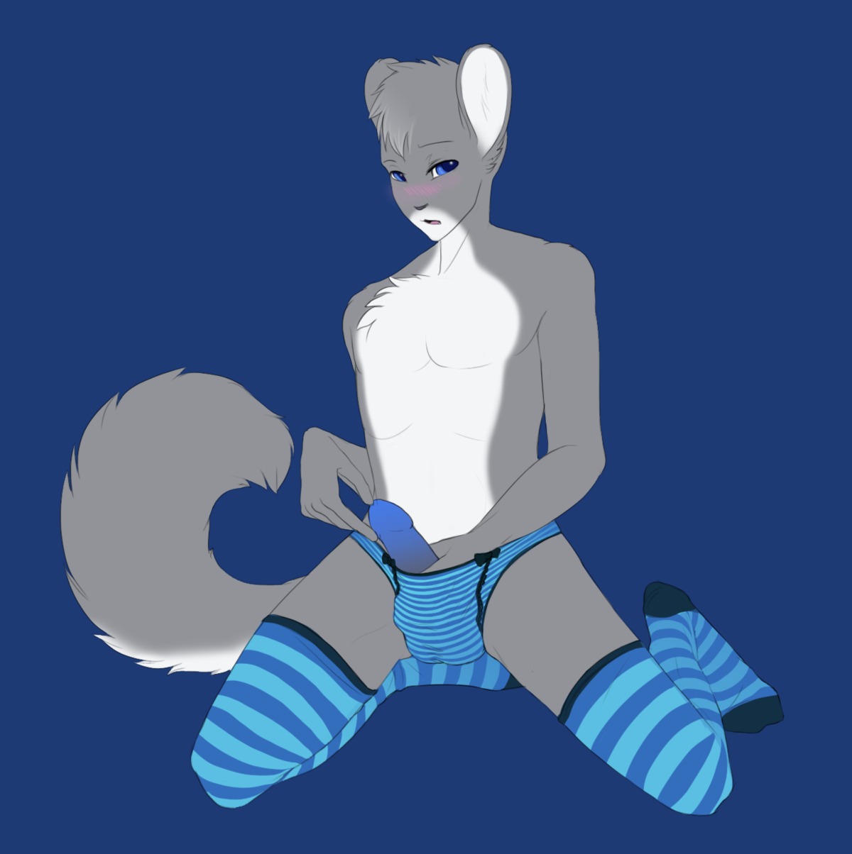 anthro blue_background blue_eyes blue_penis blush chinchilla chinchillid clothed clothing crossdressing e621 erection femboy genitals hi_res humanoid_genitalia humanoid_penis katashi legwear male mammal masturbation panties penile penile_masturbation penis phoenix-pinion rodent simple_background solo stockings tail underwear