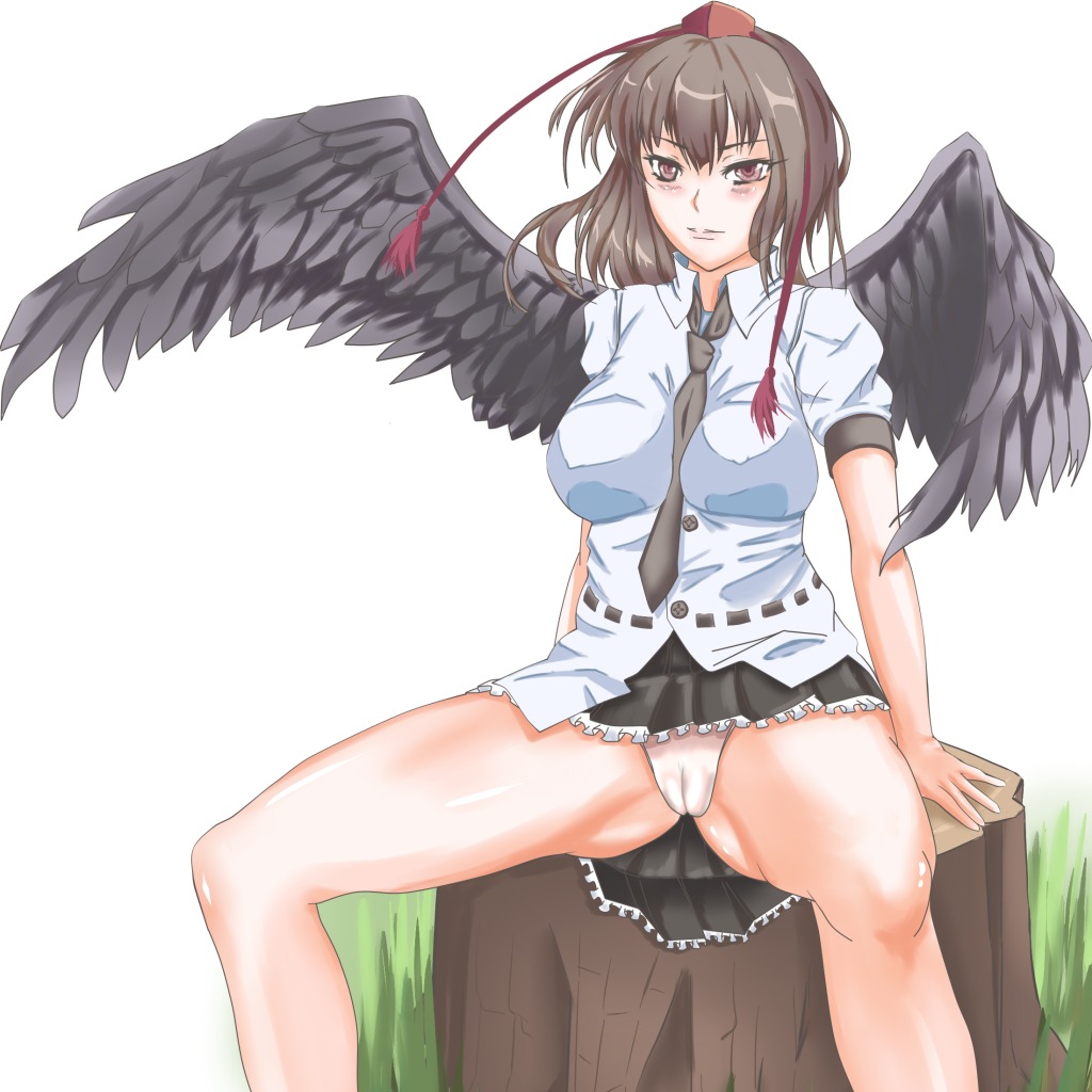 female rule34 shameimaru_aya tagme touhou