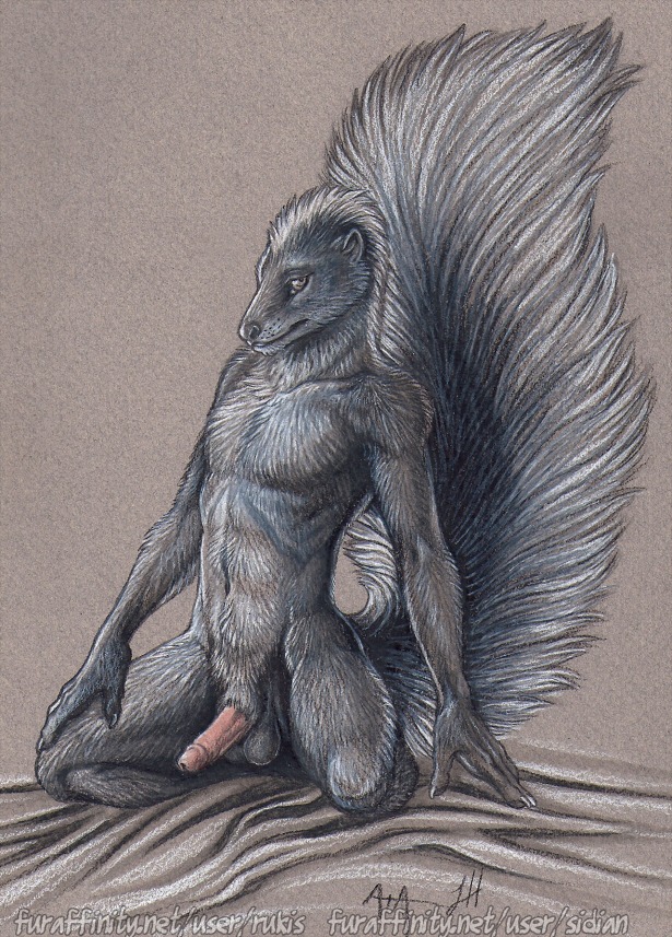 1boy 2011 anthro balls black_fur fur furry linsey_huish male male_only nude penis rukis rule34 sidian skunk solo white_fur