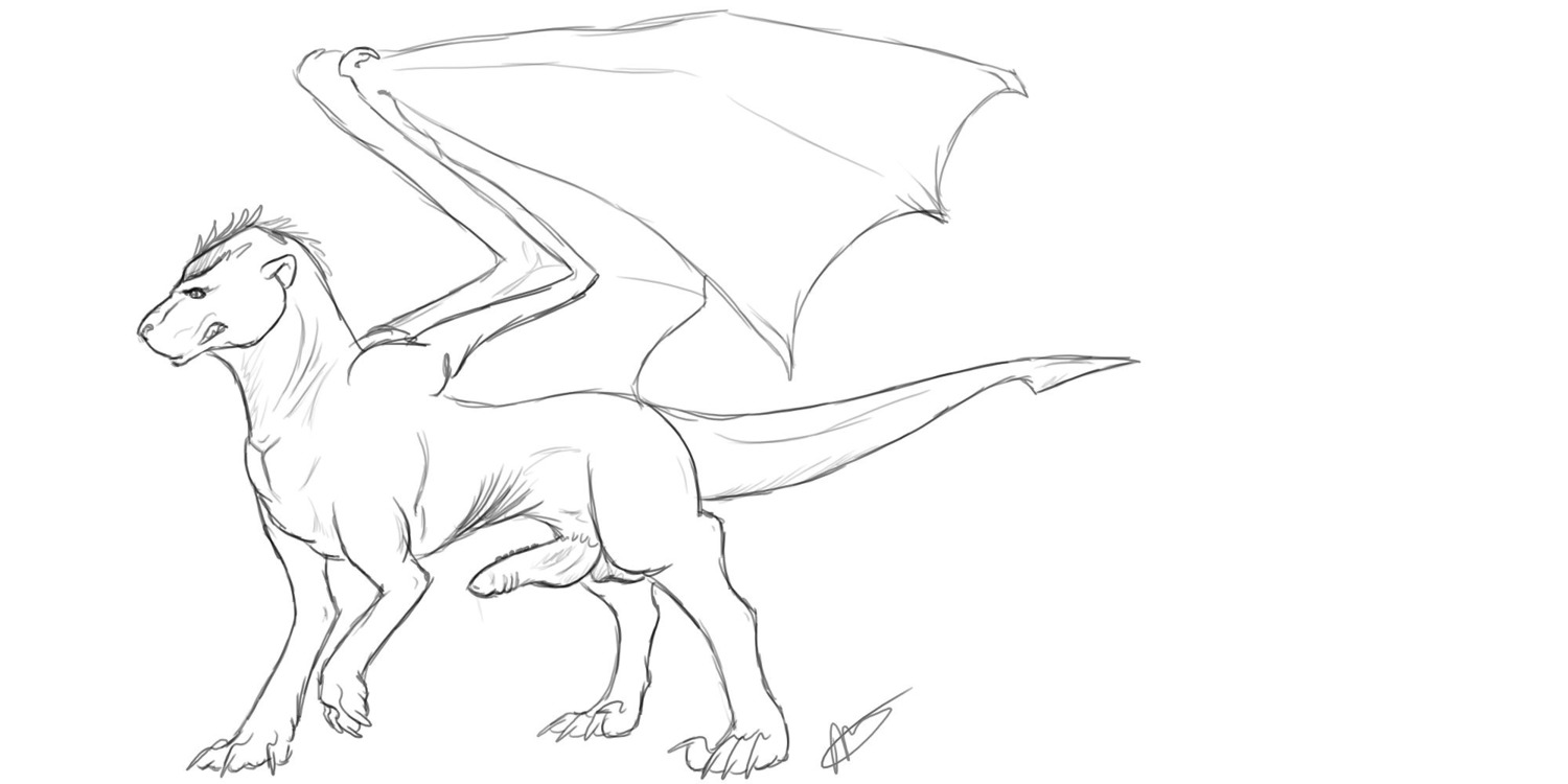 2:1 balls black_and_white dragon e621 erection feral genitals growling hi_res male membrane_(anatomy) membranous_wings monochrome mythological_creature mythological_scalie mythology naughtybirdart_(artist) non-mammal_balls nude penis scalie signature simple_background sketch solo tail unknown_artist unknown_artist_signature white_background wings