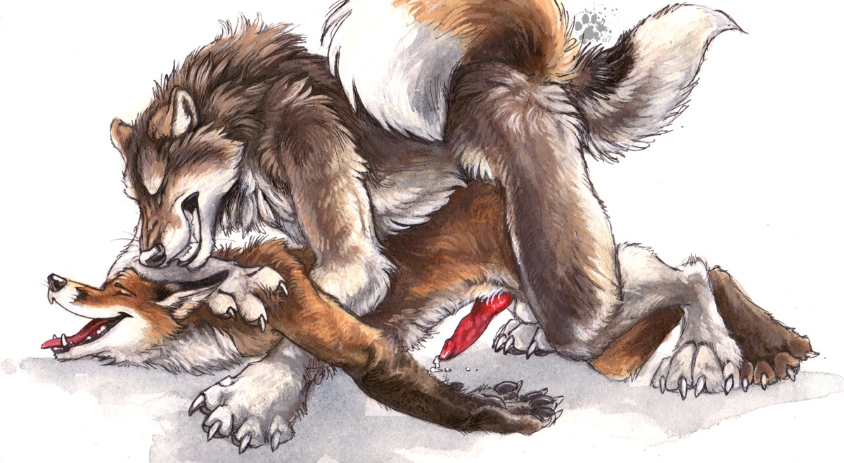 2007 all_fours anal anal_penetration animal_genitalia animal_penis anthro anthro_on_anthro balls_deep blotch bodily_fluids canid canine canine_genitalia canine_penis canis claws clenched_teeth cum cum_while_penetrated doggystyle duo e621 ejaculation erection eyes_closed finger_claws fox from_behind_position genital_fluids genitals hands-free happy happy_sex knot male male/male male_penetrated male_penetrating male_penetrating_male mammal nude open_mouth orgasm penetration penis pinned red_fox scratches_volume_4 sex side_view tail teeth toe_claws tongue traditional_media_(artwork) true_fox wolf