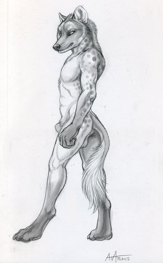 2011 5_fingers animal_genitalia anthro backsack balls biped butt canid canine canis claws digitigrade e621 feet fingers fully_sheathed fur genitals hybrid hyena looking_aside looking_at_viewer male mammal nude rukis sheath side_view simple_background sketch solo spots spotted_hyena standing tail tail_tuft tuft white_background white_balls white_sheath wolf