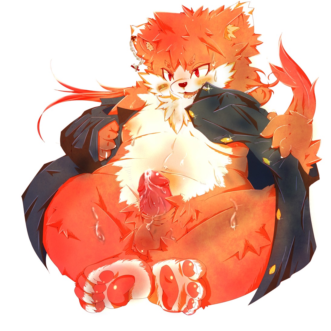 1:1 2012 balls canid canine canis clothing coat domestic_dog e621 erection fur genitals humanoid_genitalia humanoid_penis male mammal orange_body orange_fur penis slightly_chubby solo topwear tsurugi