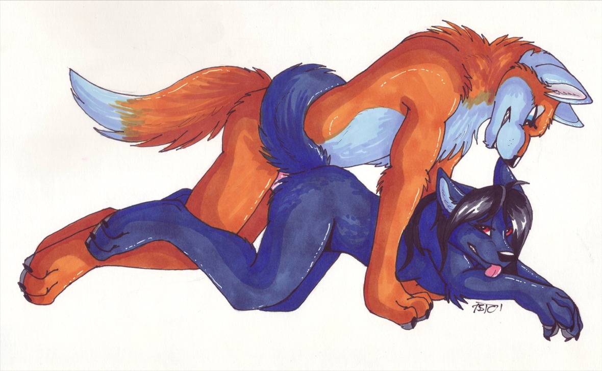2010 all_fours anthro anthro_on_anthro blue_eyes canid canine canis celestialwolfen doggystyle duo e621 female female_penetrated fox from_behind_position genitals lying male male/female male_penetrating male_penetrating_female mammal nude on_front penetration penis red_eyes sex tail tongue wolf