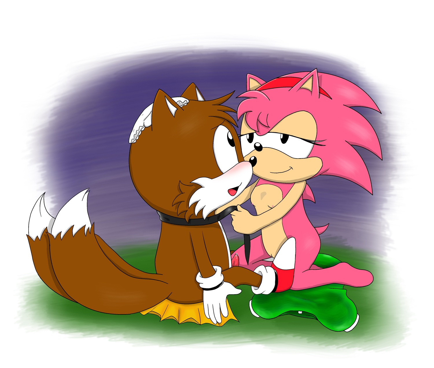 amy_rose anthro brown_fur closed_mouth color female fox fur furry_tail hedgehog interspecies kneeling male multi_tail nude open_mouth pink_fur rule34 sega shadowlink350 sitting smile sonic_(series) sonic_cd sonic_the_hedgehog_(series) tail tails tails_the_fox