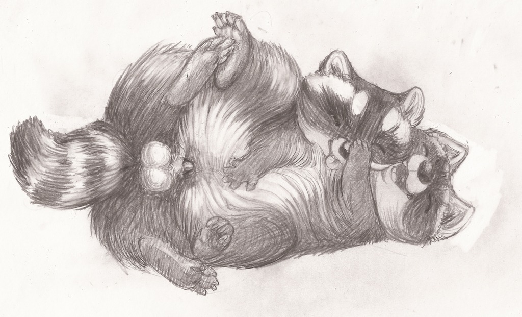 2013 balls coonpoof duo e621 eyes_closed female female_penetrated feral feral_on_feral genitals greyscale lying male male/female male_penetrating male_penetrating_female mammal monochrome nude on_side penetration penile penile_penetration penis penis_in_vagina procyonid raccoon sex sketch spread_legs spreading traditional_media_(artwork) vaginal vaginal_penetration vulva