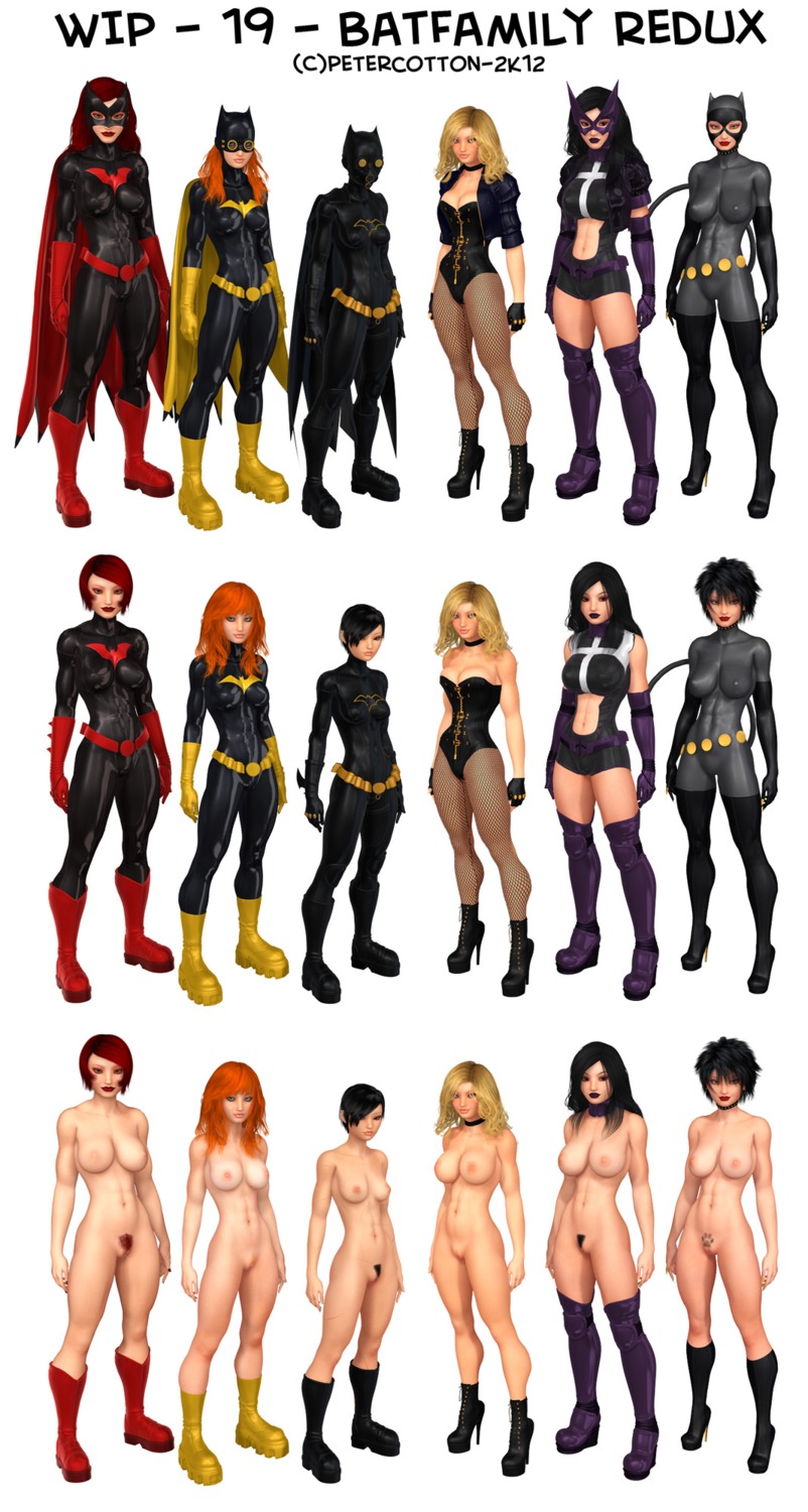 3d barbara_gordon batgirl batgirl_(cassandra_cain) batman_(series) batwoman black_bat black_canary cassandra_cain casual catwoman clothing dc dc_comics dinah_lance female female_only footwear green_arrow_(series) group helena_bertinelli human huntress_(dc) kate_kane nonsexual nonsexual_nudity orphan_(dc) pale_skin petercotton pubic_hair rule34 selina_kyle signature text unshaved_pussy