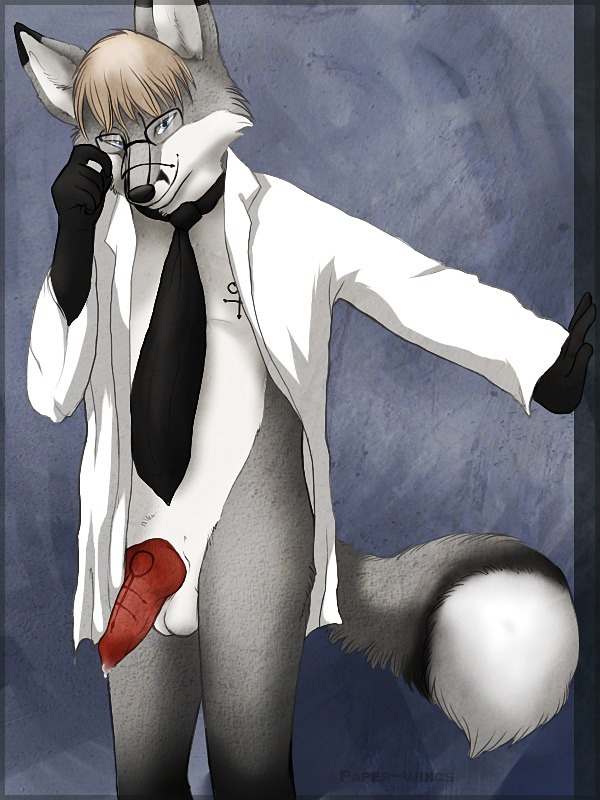 3:4 accessory animal_genitalia animal_penis anthro balls bottomless canid canine canine_genitalia canine_penis clothed clothing coat e621 erection eyewear fox genitals glasses knot lab_coat male mammal necktie open_clothing open_shirt open_topwear paper-wings partially_clothed penis shirt solo tail tattoo topwear undressing