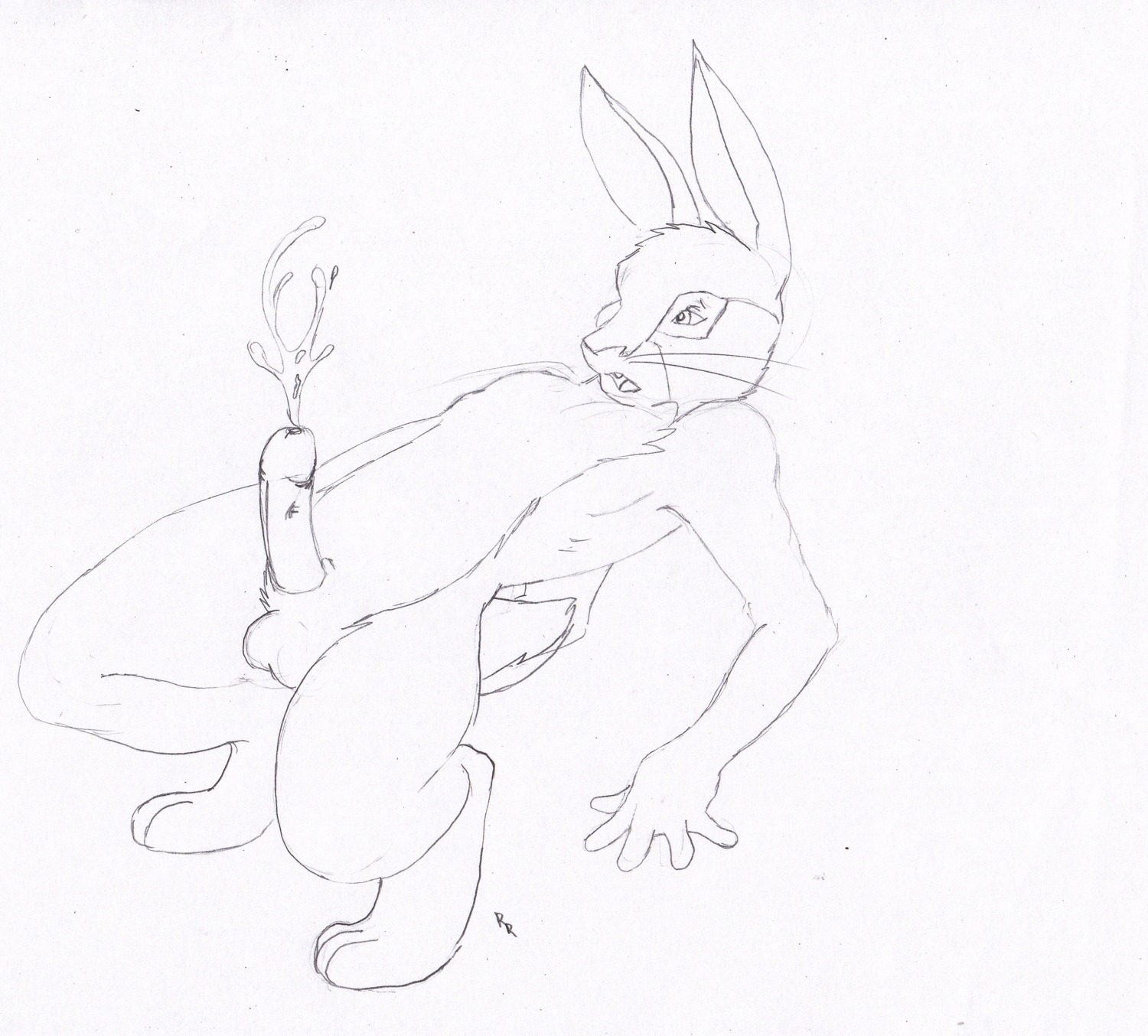 anthro balls cum ejaculation erection furry glans hazel_(watership_down) male male_only mouth_open nude orgasm penis rascalraccoon rule34 solo tagme tail watership_down