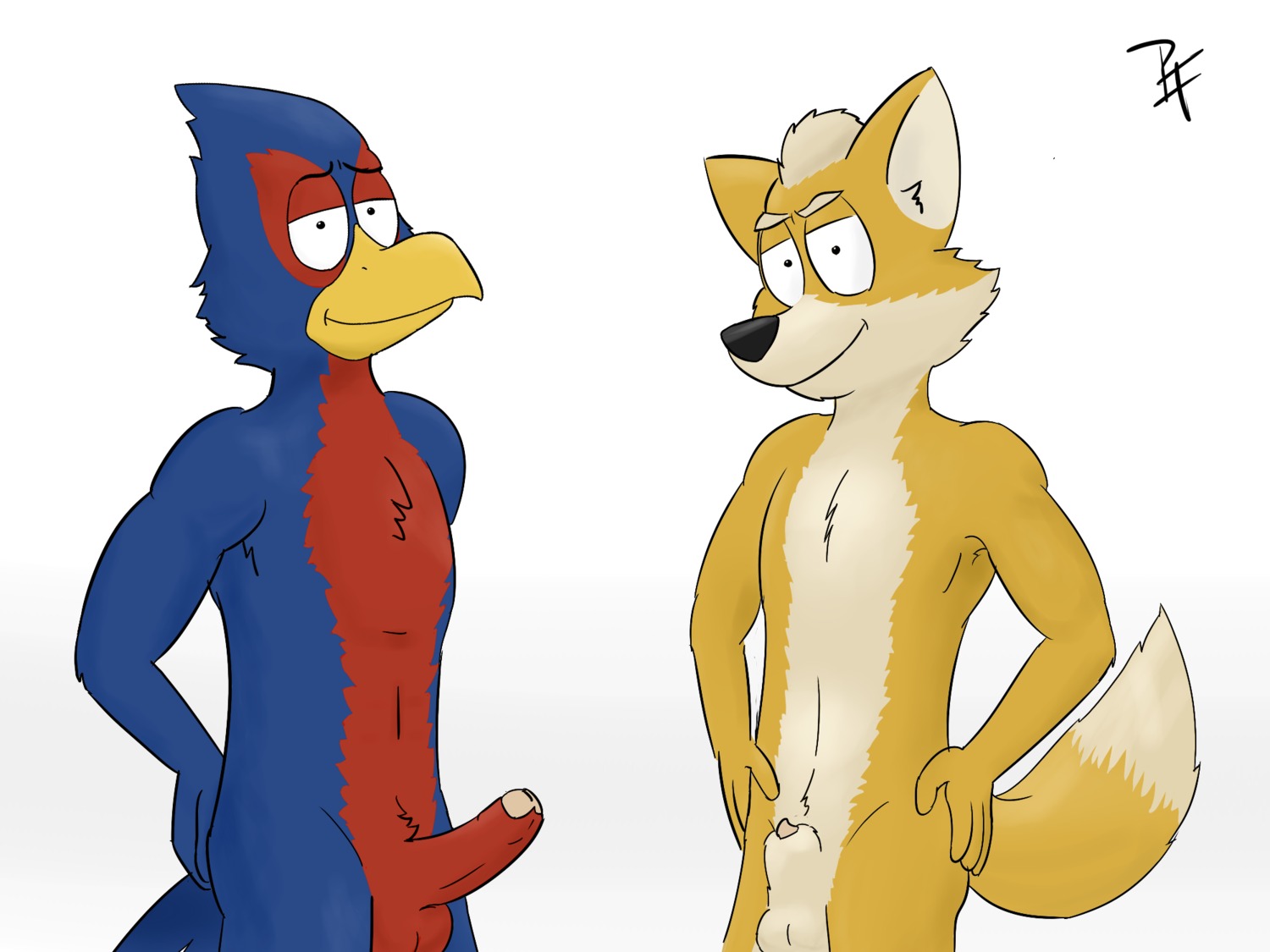 2014 4:3 animal_genitalia anthro avian beak bird blue_body blue_feathers canid canine duo e621 erection falco_lombardi feathers foreskin fox fox_mccloud fur genitals hi_res humanoid_genitalia humanoid_penis looking_at_viewer male mammal nintendo nude paintfox partially_retracted_foreskin penis penis_tip pose sheath simple_background smile standing star_fox toony white_background