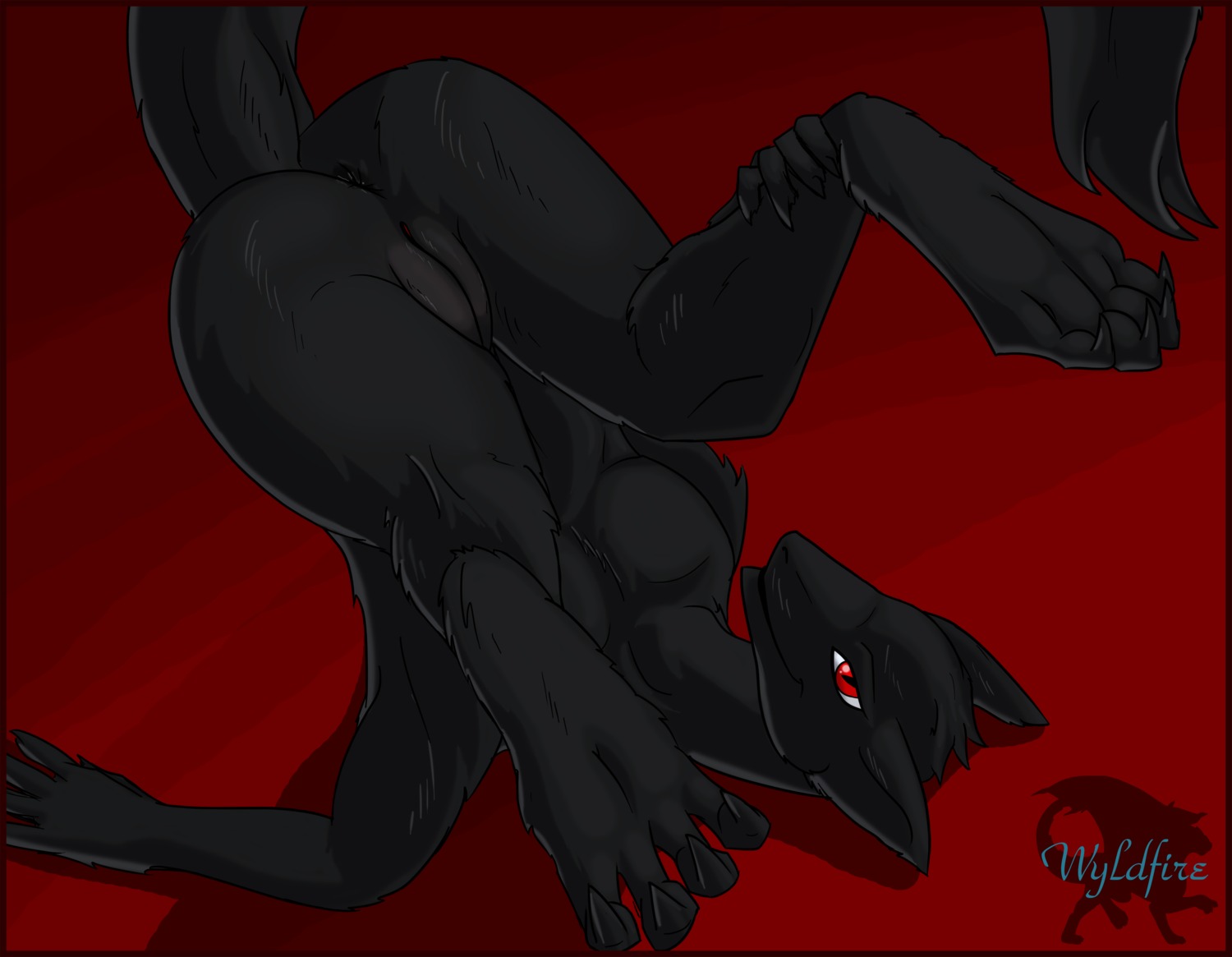 4_toes andromorph anus black_body black_fur butt claws digitigrade e621 feet fur genitals hi_res intersex legs_up looking_at_viewer lying mammal nude on_back presenting red_eyes sergal simple_background solo tail toes vulva vyse wyldfire7