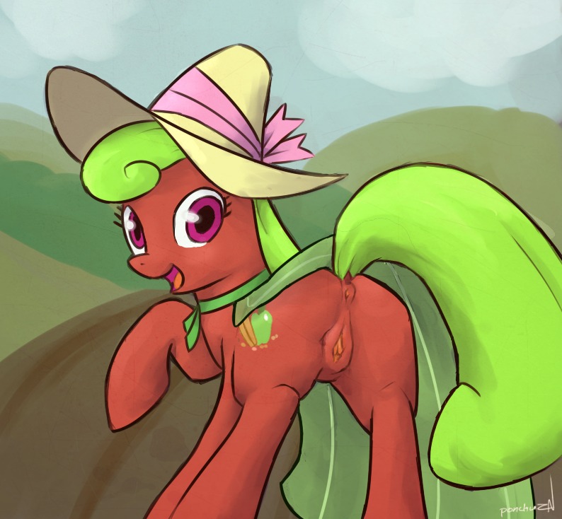 2012 apple_bottom_(mlp) butt clothing cloud cutie_mark e621 equid equine female feral fur genitals green_hair hair hasbro hat headgear headwear horse looking_at_viewer looking_back mammal my_little_pony outside ponchuzn pony presenting presenting_hindquarters purple_eyes quadruped red_body red_fur sky solo tail vulva