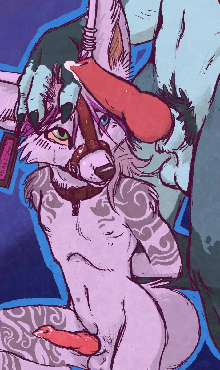 animal_genitalia animal_penis anthro balls blue_eyes bodily_fluids bound canid canine canine_genitalia canine_penis collar cum dominant dominant_male duo e621 ear_piercing ear_tag erection fennec_fox fox gag gagged genital_fluids genitals green_eyes hands_behind_back heterochromia hi_res knot male male/male mammal muzzle_(object) muzzled nude penis piercing precum sillyme submissive submissive_male tail true_fox