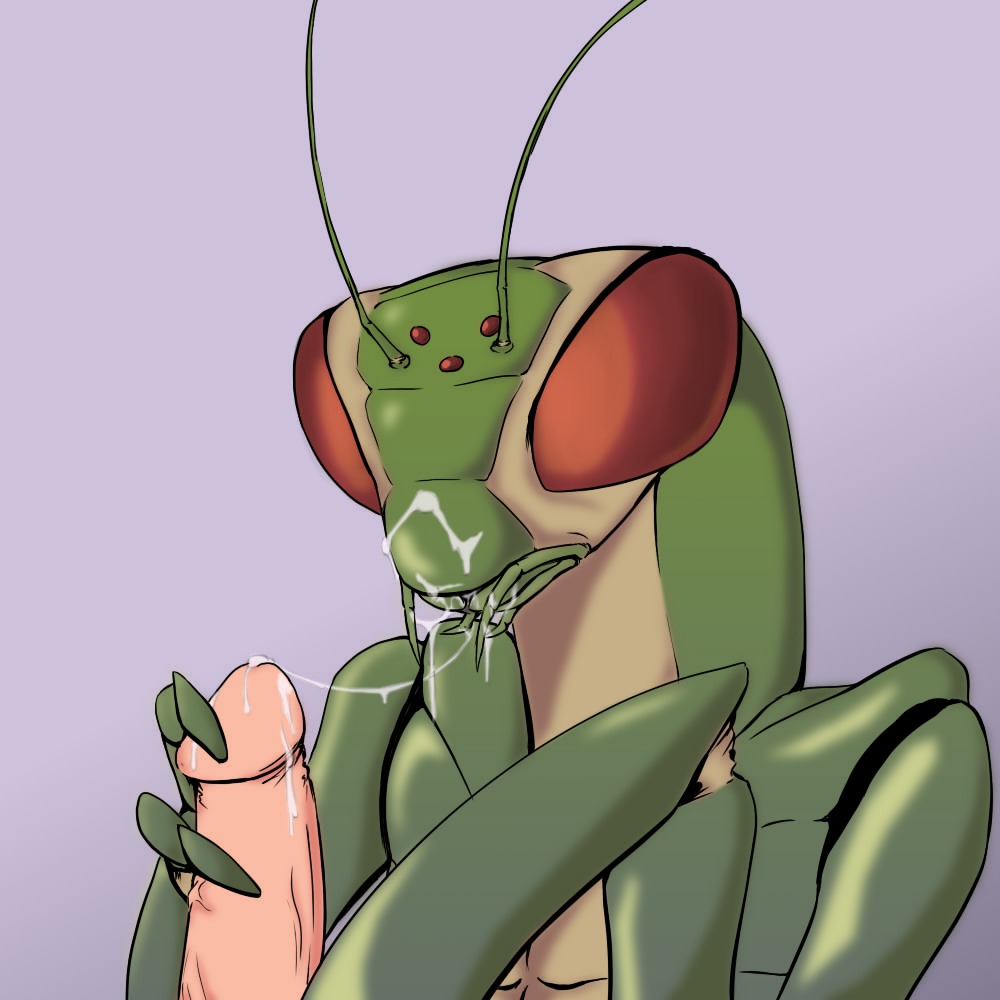 1:1 antennae_(anatomy) anthro arthropod bodily_fluids compound_eyes cum cum_string disembodied_penis doomington dungeons_and_dragons duo e621 erection exoskeleton female genital_fluids genitals glans green_body hasbro human humanoid_genitalia humanoid_penis insect interspecies male male/female mammal mandibles mantis ocellis oral penis queblock red_eyes simple_background thri-kreen wizards_of_the_coast xenophilia