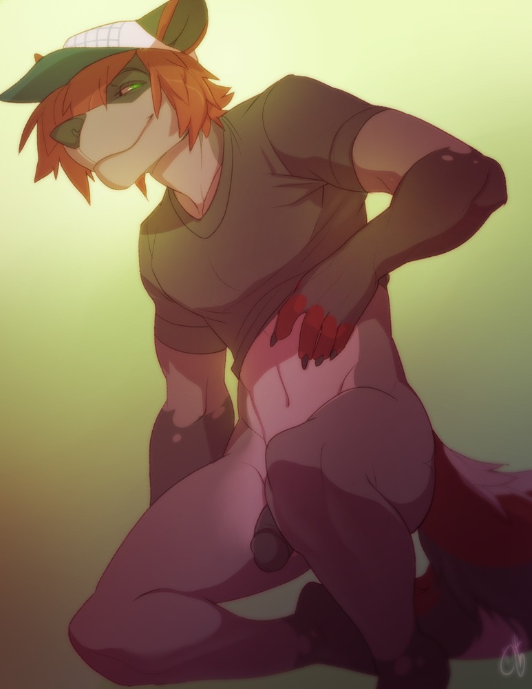 2014 anthro black_penis bottomless canid canine canis clothed clothing e621 genitals hair half-erect hat headgear headwear humanoid_genitalia humanoid_penis male mammal panic-panic patto penis pose smile solo wolf