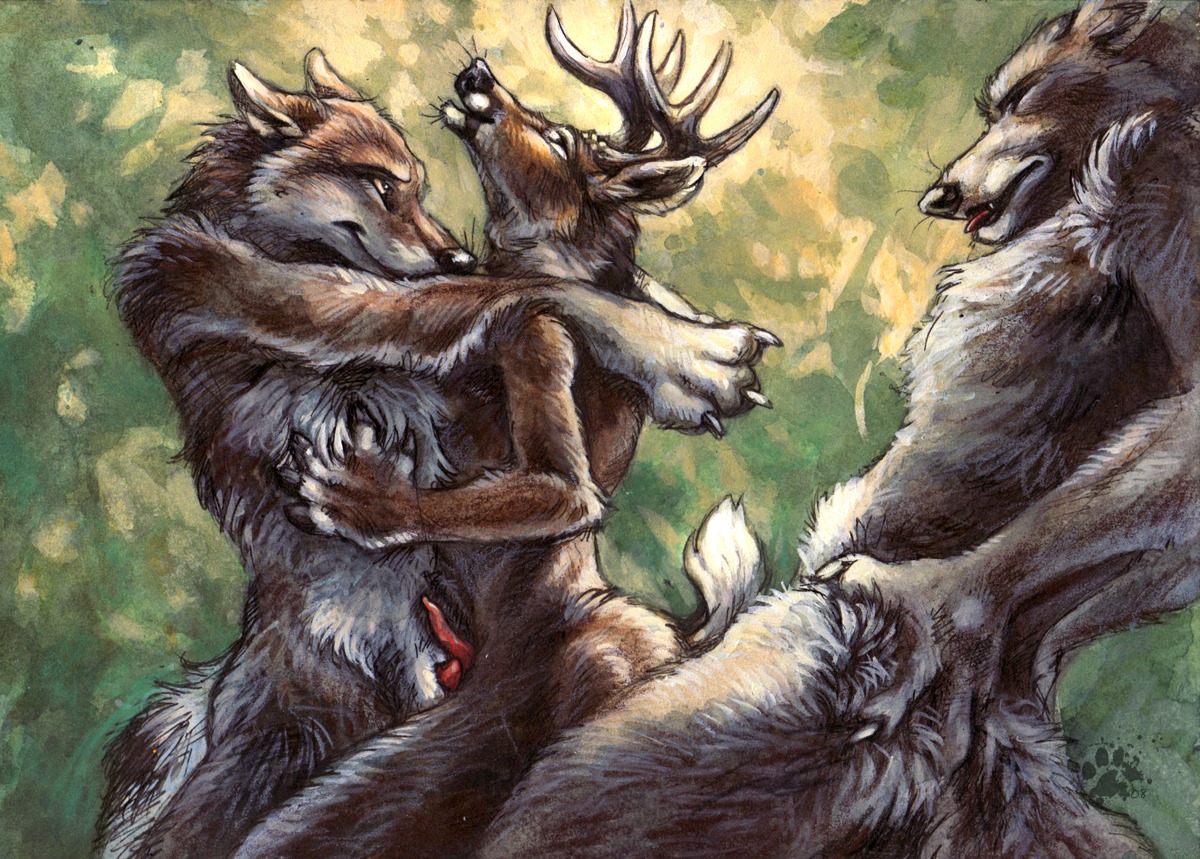 2007 anal anal_penetration animal_genitalia anthro antlers arched_back arms_over_shoulders blep blotch brown_body brown_fur canid canine canis chest_grab claws deer e621 ears_back ears_down erection eyes_closed flaccid fluffy from_behind_position frottage fur fuzzy genitals group group_sex hand_on_butt hand_on_chest hand_on_hip horn looking_at_another looking_at_partner looking_back looking_pleasured male male/male male_penetrated male_penetrating male_penetrating_male mammal nude orgasm outside penetration penile penis penis_tip penises_touching pivoted_ears predator/prey sandwich_position scratches_volume_4 sex sheath smile smirk standing standing_sex tail threesome thrusting tongue tongue_out traditional_media_(artwork) trio wolf