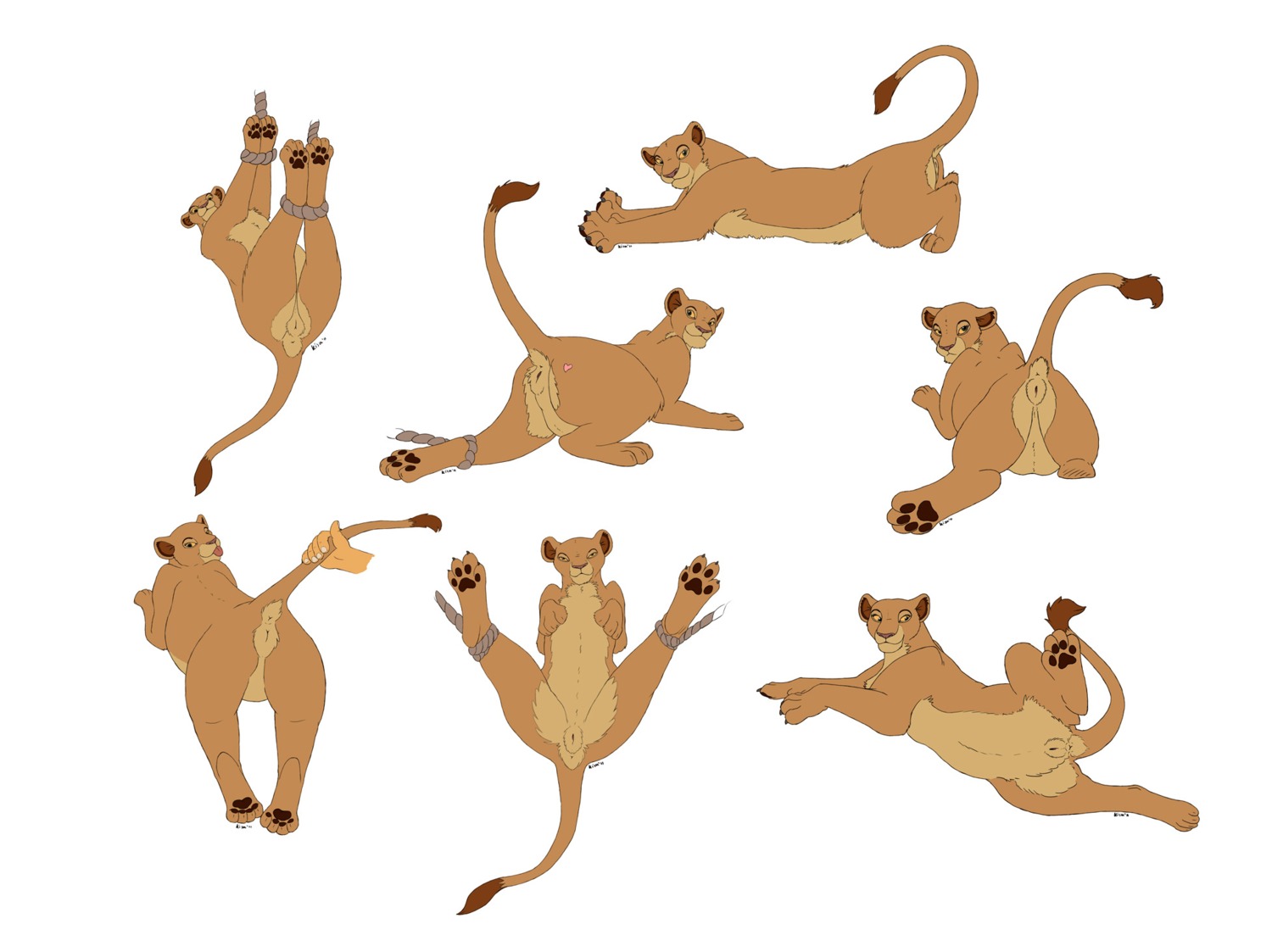 anatomically_correct anatomically_correct_genitalia anatomically_correct_vulva animal_genitalia animal_vulva anus bdsm bondage bound butt disney e621 felid feline_genitalia feline_vulva female feral genitals hi_res kisu lion mammal nala_(the_lion_king) pantherine presenting presenting_anus presenting_hindquarters presenting_vulva raised_tail rope simple_background solo spread_legs spreading submissive submissive_female tail tail_anus the_lion_king vulva white_background