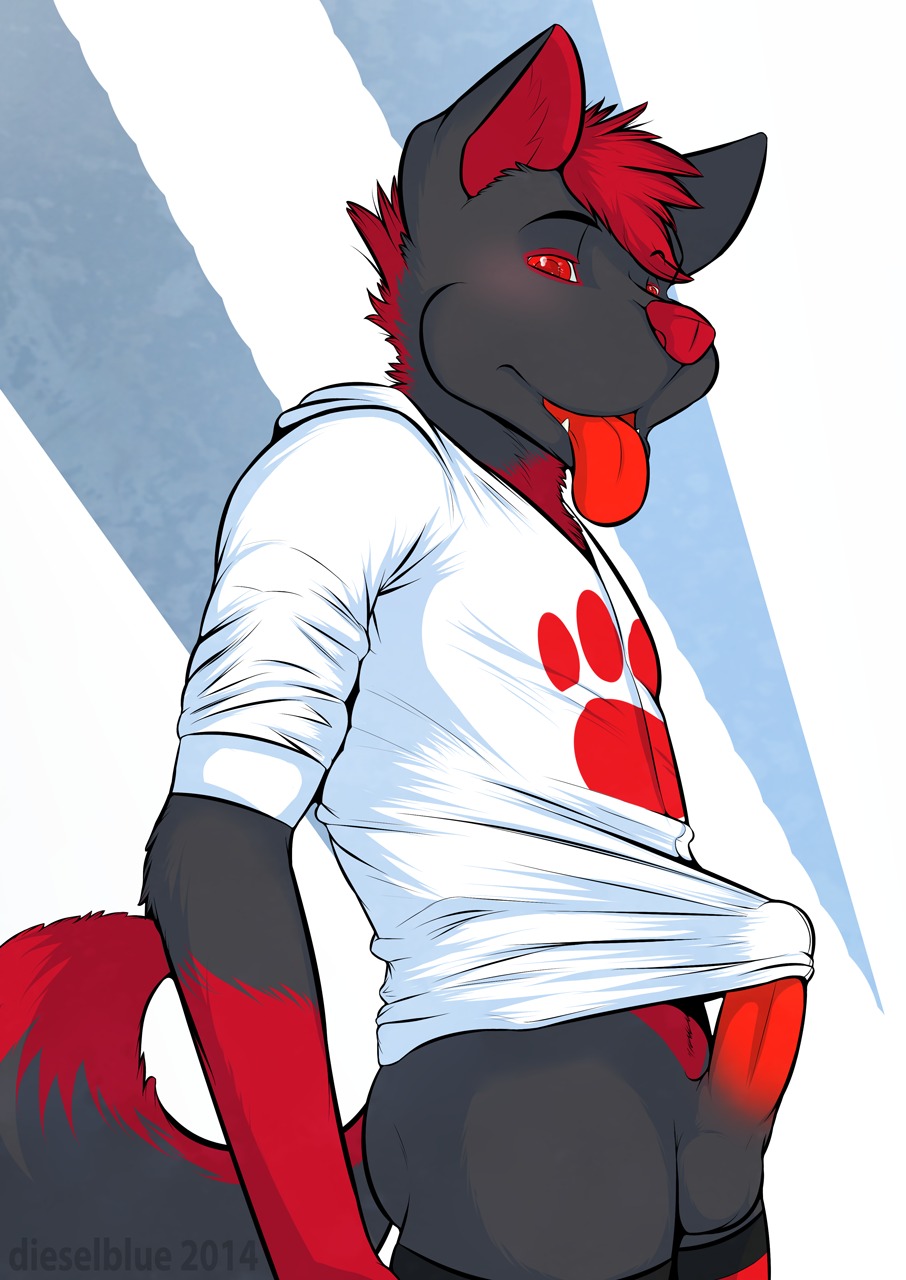 2014 anthro azofer balls biped black_body black_fur bottomless canid canine canis clothed clothing dieselblue e621 erection fur genitals hair hi_res male mammal penis red_body red_fur red_hair red_penis simple_background solo standing tongue tongue_out wolf