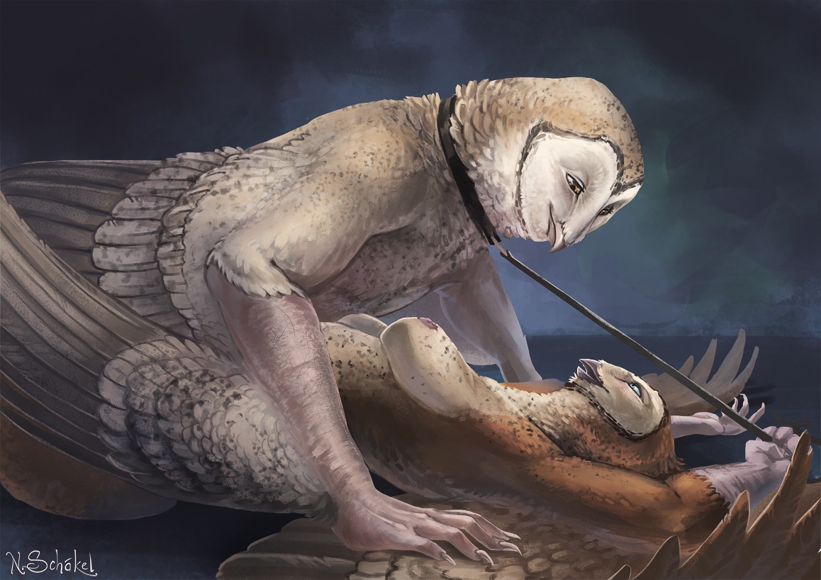 anthro avian barn_owl bdsm beak bird blue_eyes bondage bound breasts collar dominant dominant_female duo e621 feathered_wings feathers female from_front_position leash leash_pull leashed_top lying male male/female missionary_position nipples non-mammal_breasts non-mammal_nipples on_back owl pasc pechschwinge power_bottom romantic romantic_couple sex submissive submissive_male tyto tytonid winged_arms wings yellow_eyes