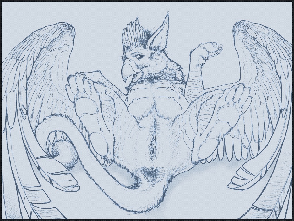 anus artonis avian beak belly big_belly blue_and_grey breasts clitoris e621 egg_heavy feathered_wings feathers female feral genitals gryphon line_art looking_at_viewer lying monochrome mythological_avian mythological_creature mythology non-mammal_breasts on_back pregnant solo spread_legs spreading tail tail_anus urethra vulva wings