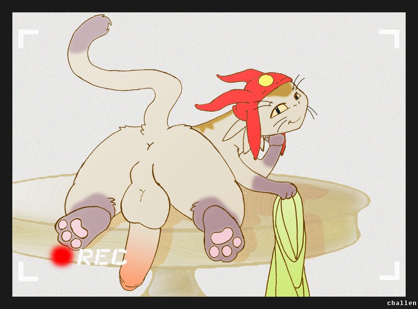 alien anthro anus backsack balls betelgeusian big_balls big_penis butt challen clothing e621 erection exhibitionism feet felid fur genitals hat hat_only headgear headgear_only headwear headwear_only hindpaw looking_at_viewer looking_back male mammal meow_(space_dandy) mostly_nude pawpads paws penis simple_background smile soles solo space_dandy tail tail_anus teasing whiskers