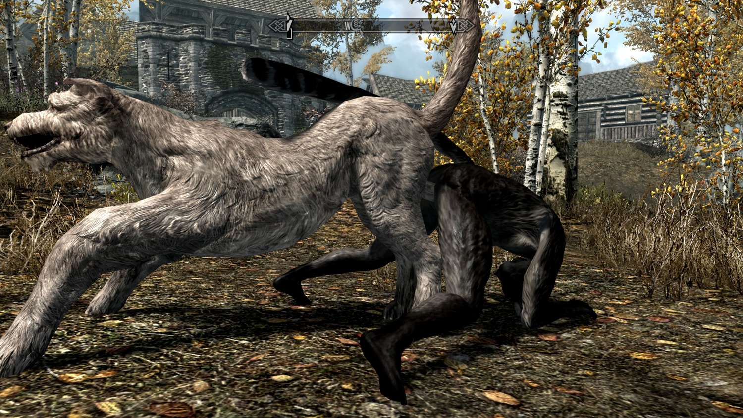 16:9 3d_(artwork) anal anal_knotting anal_penetration anthro anthro_on_feral anthro_penetrated ass_to_ass bestiality bethesda_game_studios canid canine canis digital_media_(artwork) domestic_dog duo e621 erection felid feral feral_penetrating feral_penetrating_anthro fur genitals hi_res interspecies khajiit knotting looking_pleasured male male/male male_penetrated male_penetrating male_penetrating_male mammal microsoft nude penetration penile penile_penetration penis penis_in_ass sex skyrim the_elder_scrolls unknown_artist widescreen