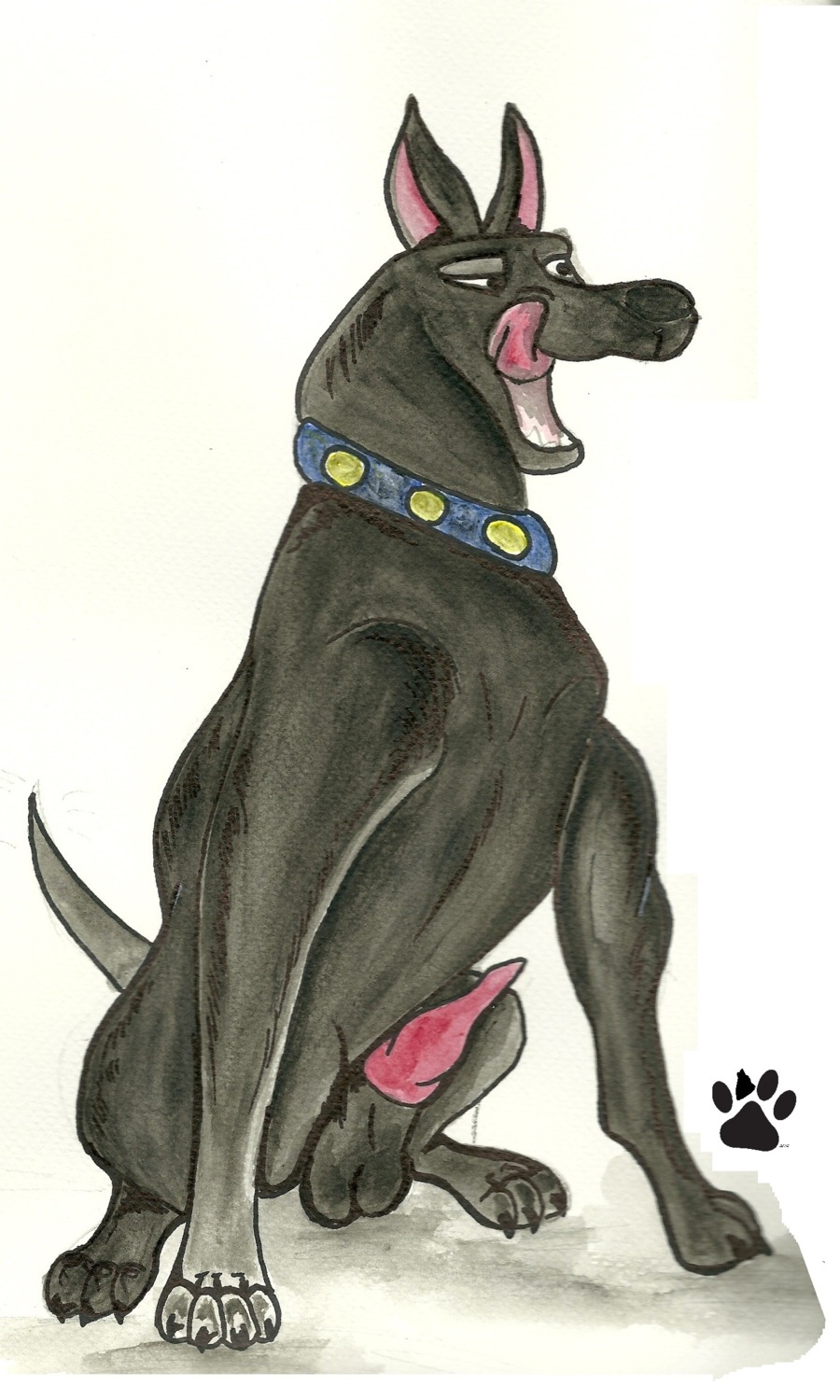 alternate_version_at_source balls black_body black_fur canid canine canis digitigrade domestic_dog e621 erection feral flinnt_husky fur genitals hi_res male mammal nude penis pointy_ears pose prick_ears quadruped sitting solo tail tongue