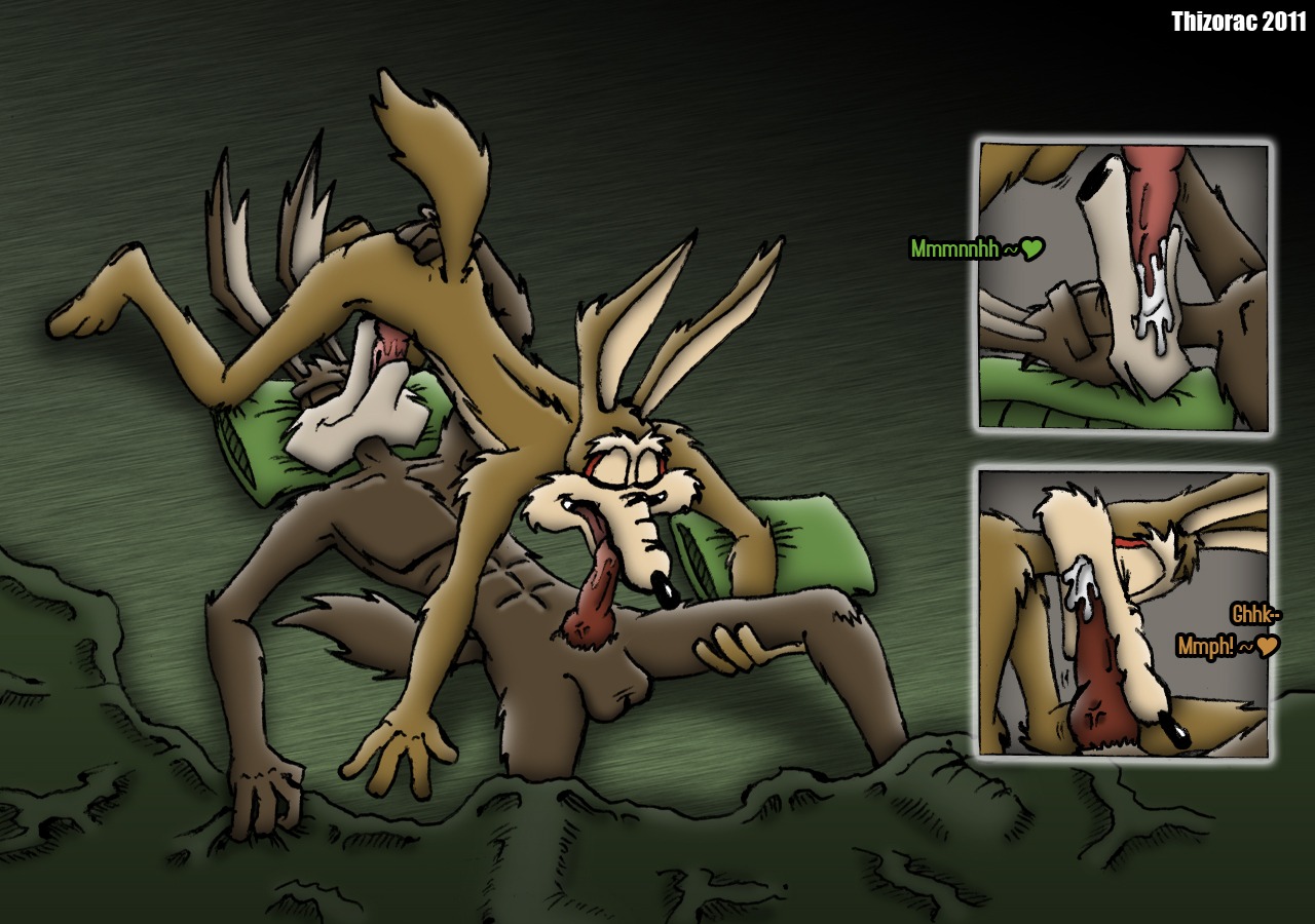 2011 69_position abs ancestor_and_descendant_(lore) ancestor_penetrating_descendant anthro balls biceps bodily_fluids brown_balls brown_body brown_fur butt canid canine canis coyote cum cum_in_mouth cum_inside duo e621 erection eyes_closed feet fellatio fur genital_fluids genitals hindpaw incest_(lore) loonatics_unleashed looney_tunes male male/male male_penetrated male_penetrating male_penetrating_male mammal muscular nude oral oral_penetration orgasm paws pecs penetration penile penis sex tail tech_e._coyote thizorac toes tongue warner_brothers wile_e._coyote