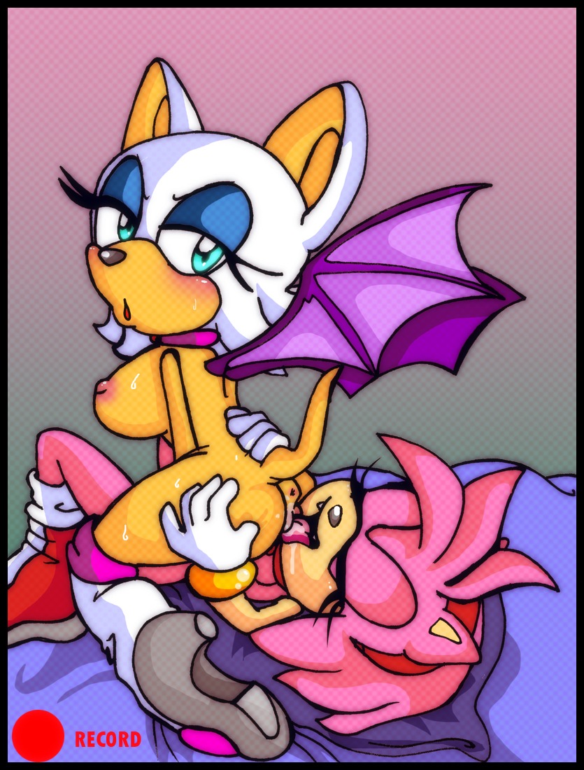 amy_rose anthro anus auntymoira bat blush breasts cunnilingus female hedgehog multiple_females multiple_girls nipples oral pink_hair purity rouge_the_bat rule34 sonic_(series) sweat tail white_hair wings yuri