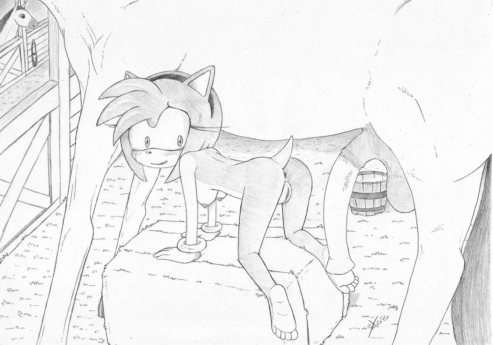 all_fours amy_rose anthro anus barn bestiality big_penis breasts bucket container doggystyle duo e621 equid equine erection eulipotyphlan excito feet female feral from_behind_position genitals hay hedgehog hi_res hindpaw horse interspecies male male/female mammal monochrome nude paws penis sega sex sonic_the_hedgehog_(series) vein veiny_penis vulva