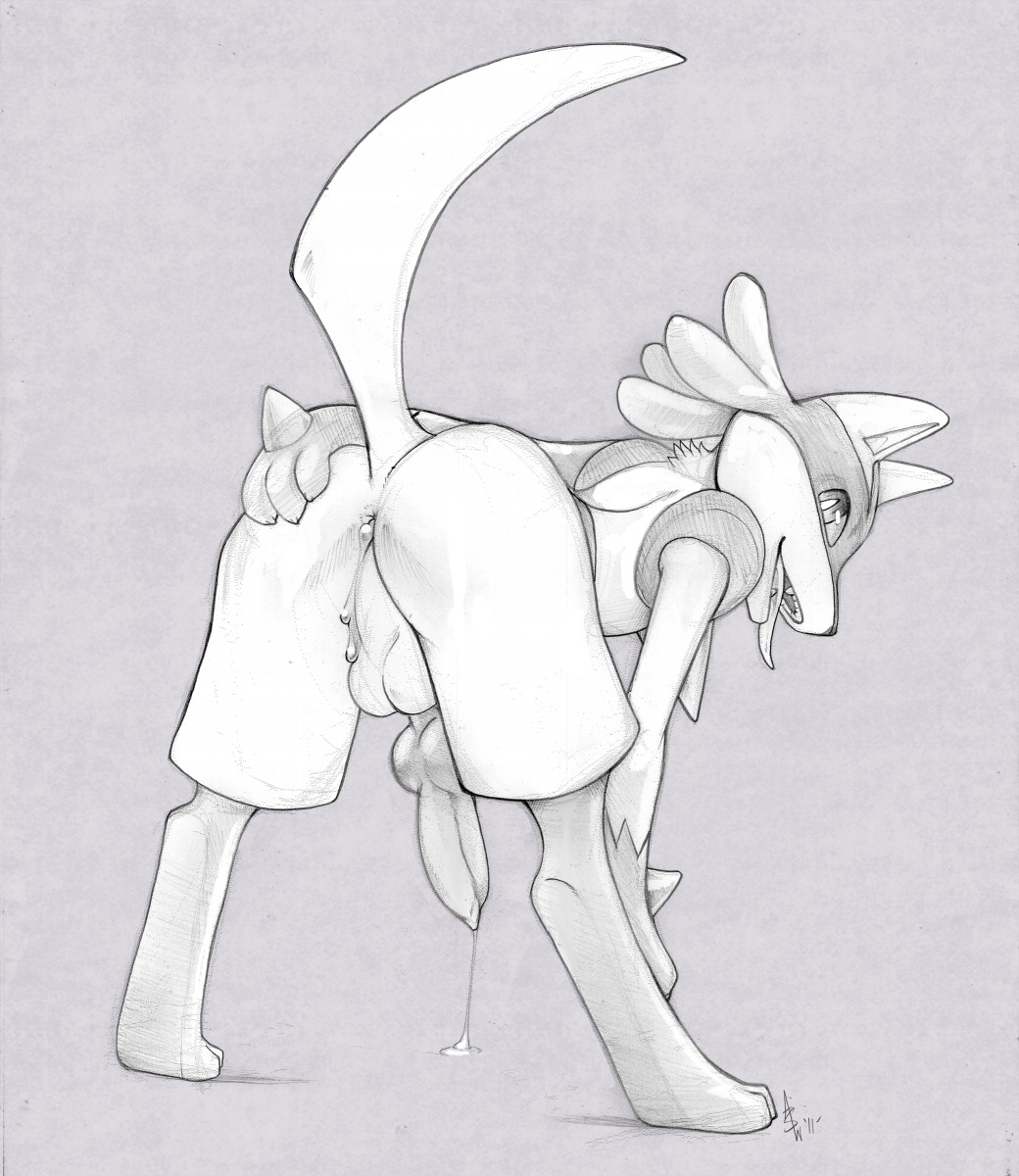anthro anus balls canine furry lucario male penis pokemon pokemon_(species) presenting rule34 tongue