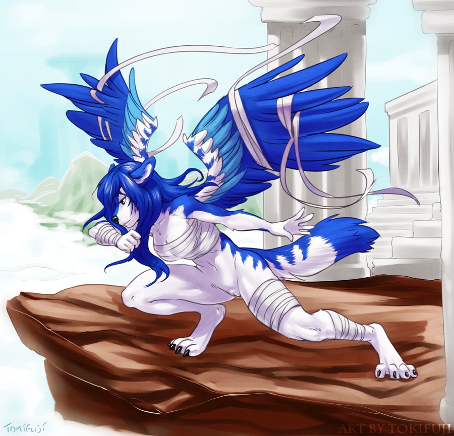 anthro bottomless breasts canid canine canis clothed clothing e621 feathered_wings feathers female genitals mammal skimpy solo tail tala_(suntattoowolf) tokifuji vulva wings wolf