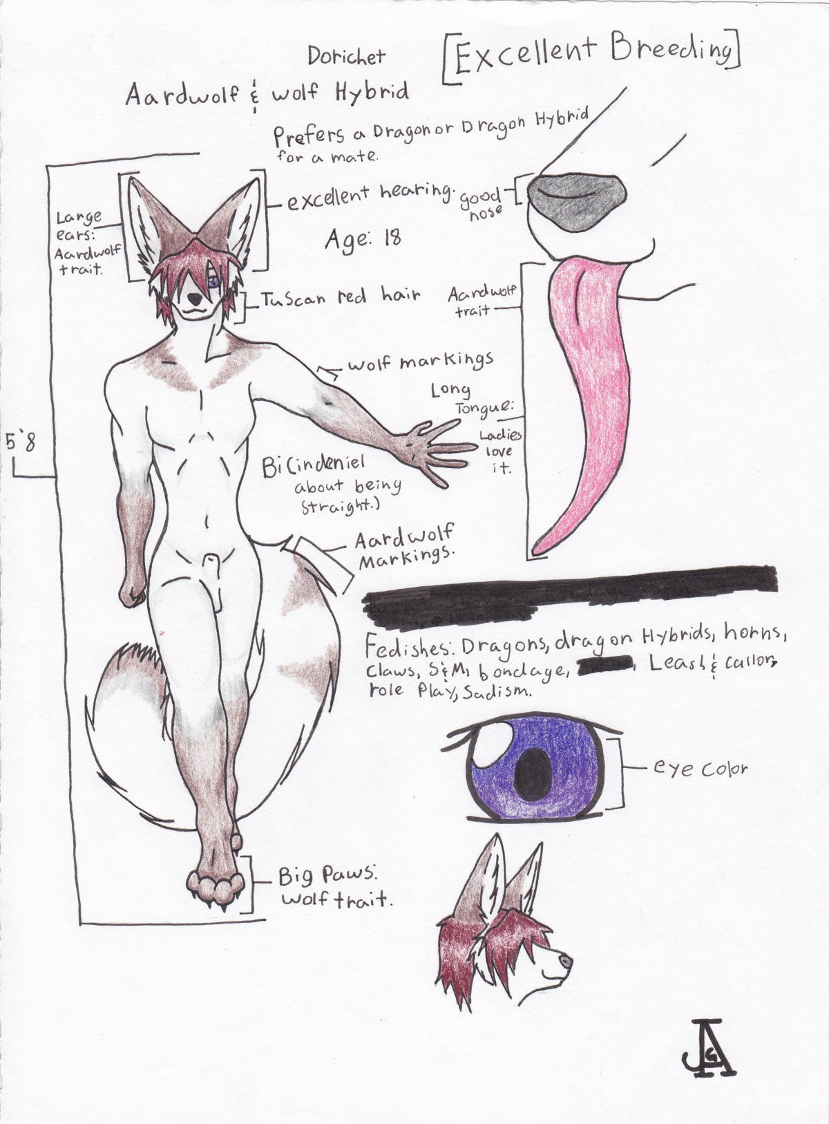 aardwolf absurd_res animal_genitalia anthro canid canine canis crayon_(artwork) dorochet e621 fully_sheathed genitals hi_res hybrid hyena jag_(artist) male mammal mixed_media model_sheet nude pen_(artwork) sheath solo tail tongue traditional_media_(artwork) wolf