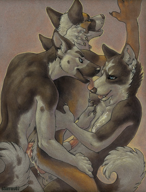2007 anal anal_penetration animal_genitalia anthro anthro_on_anthro anthro_penetrated anthro_penetrating anthro_penetrating_anthro balls blue_eyes bodily_fluids canid canine canis cum cum_inside domestic_dog double_anal double_penetration e621 ear_piercing erection fur genital_fluids genitals group group_sex intraspecies licking male male/male male_penetrated male_penetrating male_penetrating_male mammal nude penetration penile penis piercing sandwich_position sex sheath ssirrus tail threesome tongue tongue_out traditional_media_(artwork) trio