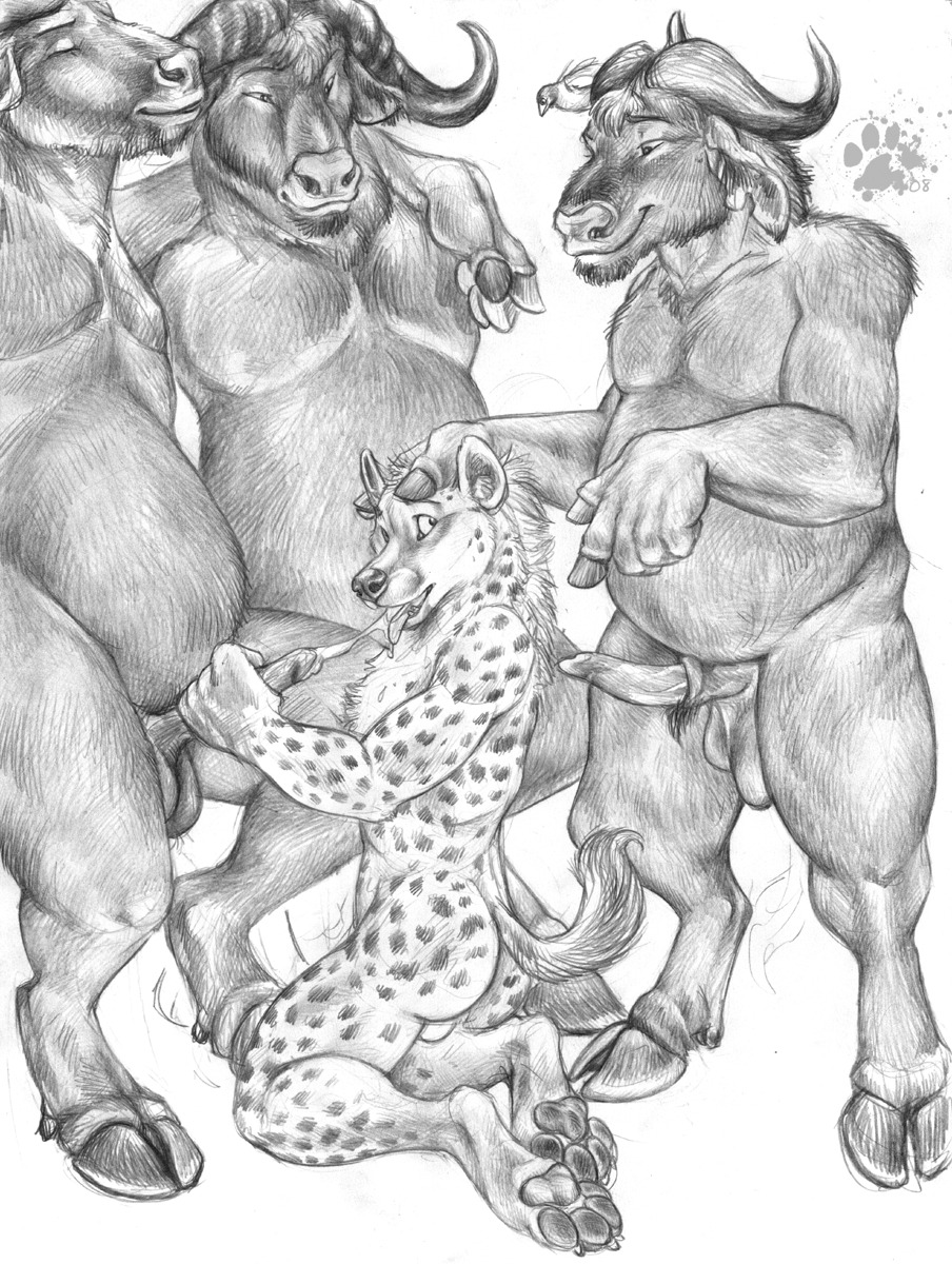 2008 animal_genitalia anthro anthro_on_anthro balls blotch bodily_fluids bovid bovine cape_buffalo cattle claws cloven_hooves cum cum_in_mouth cum_inside dominant dominant_male e621 erection foursome gangbang genital_fluids genitals group group_sex handjob hi_res hooves horn hyena kneeling_oral_position looking_back male male/male male_penetrated male_penetrating male_penetrating_male mammal monochrome oral pawpads paws penetration penile penis scratches_volume_2 sex slightly_chubby spots spotted_hyena tail toe_claws tongue traditional_media_(artwork)