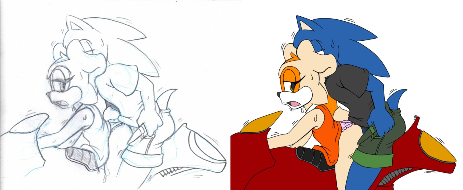 age_difference anthro anthrofied aval0nx babysitting_cream blue_body blue_fur clothing cream_the_rabbit duo e621 eulipotyphlan female footwear from_behind_position fur hedgehog hi_res lagomorph leporid male male/female mammal motorcycle older_male rabbit sega sex shoes simple_background sonic_the_hedgehog sonic_the_hedgehog_(series) stealth_sex vehicle white_background young young_anthro younger_female