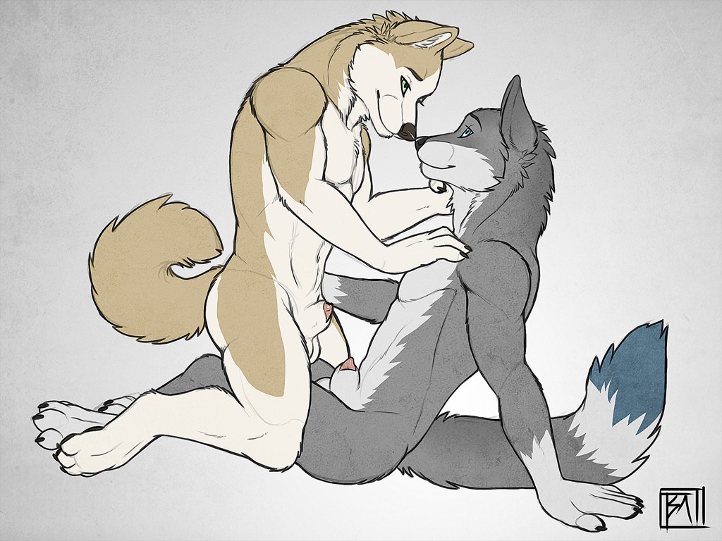 4:3 4_toes 5_fingers animal_genitalia anthro balls black_nose canid canine canis claws detached_sheath domestic_dog duo e621 feet fingers fluffy fluffy_tail fur genitals green_eyes husky male male/male mammal nordic_sled_dog nude paws penis penis_tip romantic romantic_couple sheath simple_background spitz tail toe_claws toes tsaiwolf wolf