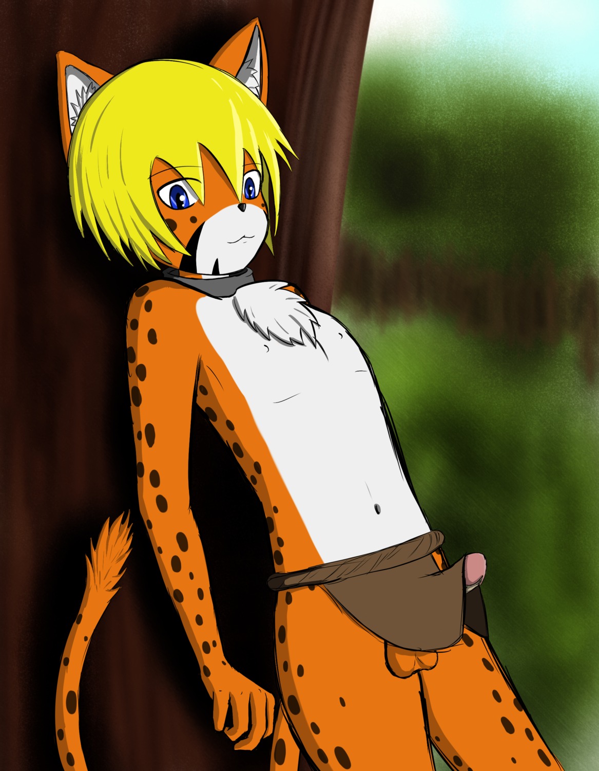absurd_res anthro balls biped blonde_hair blue_eyes bottomwear bottomwear_aside cheetah clothing clothing_aside collar detailed_background e621 erection felid feline forest fur genitals hair hi_res iclare_krual loincloth loincloth_aside male mammal orange_body orange_fur outside penis petkitten plant solo spots tree white_body white_fur