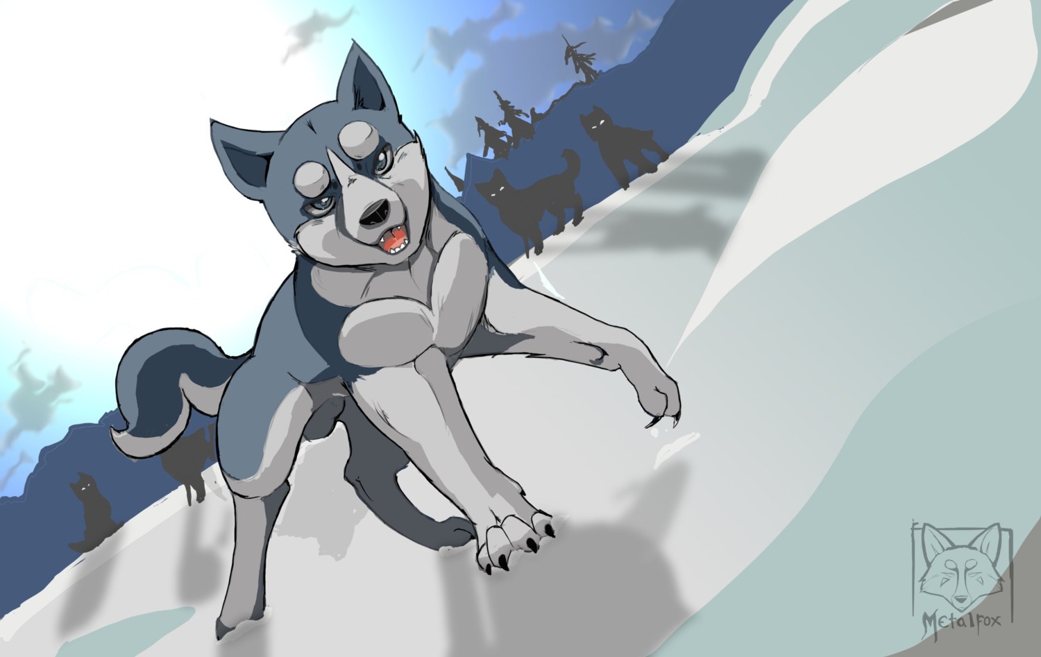 akita balls canid canine canis domestic_dog dutch_angle e621 feral genitals ginga_(series) group hi_res male mammal metalfox penis solo_focus spitz weed_(ginga)