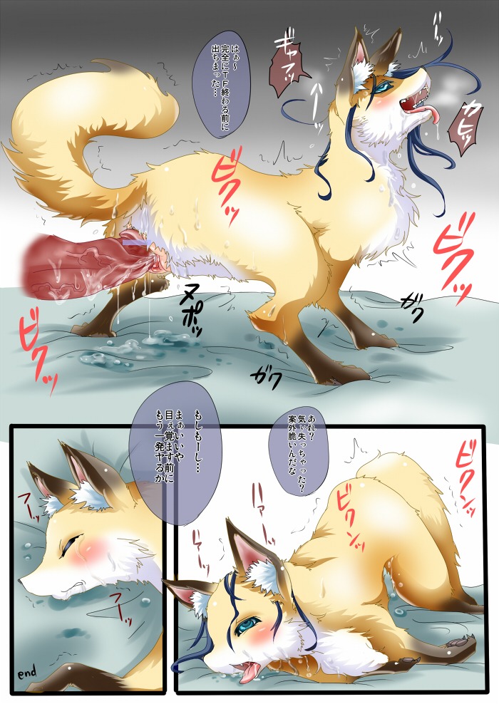after_transformation all_fours anthro anthro_on_feral bakugatou bed bestiality blue_eyes blue_hair blush bodily_fluids canid canine censored comic cum cum_inside dialogue digitigrade disembodied_penis duo e621 erection female female_penetrated feral fox from_behind_position fur furniture genital_fluids genitals gloves_(marking) hair humanoid_genitalia humanoid_penis ineffective_censorship interspecies japanese_text leg_markings male male/female male_on_feral male_penetrating male_penetrating_female mammal markings nude orange_body orange_fur pawpads paws penetration penile penile_penetration penis penis_in_vagina quadruped sex socks_(marking) stretched_vagina tail text tight_fit tongue tongue_out transformation transformation_through_sex translated vaginal vaginal_penetration